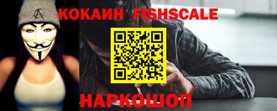 стаф Кингисепп