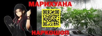 стаф Кингисепп