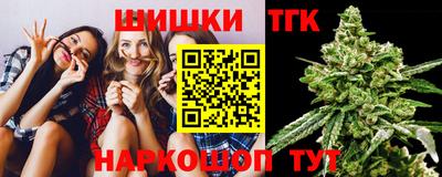стаф Кингисепп