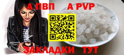 стаф Кингисепп