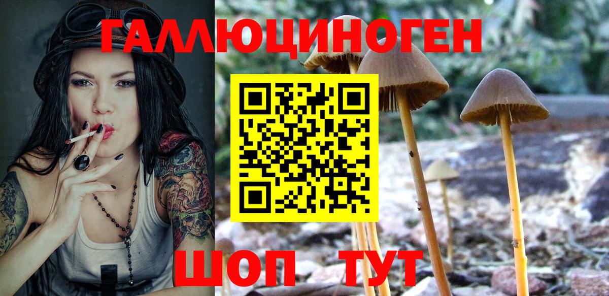 Галлюциногенные грибы Cubensis Лесной