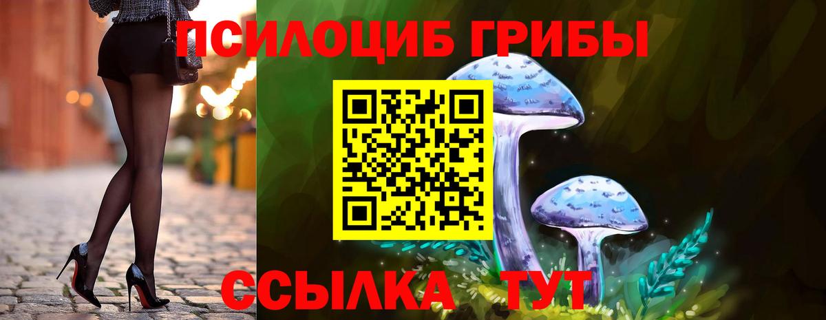 Лесной  Псилоцибиновые грибы Psilocybe  Вход с VPN 